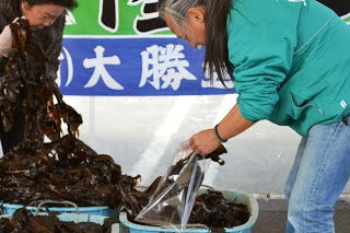 緑色の上着を着た男性が、容器に入った海藻を取り出して透明な袋に詰めている様子の写真
