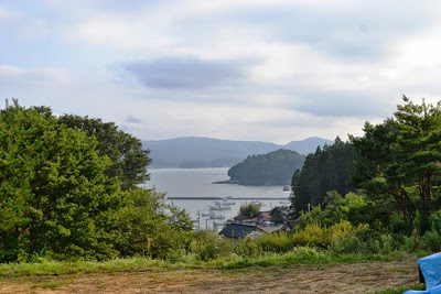 手前に草地と木々が広がる高台から撮影した、奥に港と海、その向こうに山々が見える風景写真