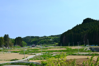 青空の下遠くに木々が茂った山がそびえ、田んぼが広がる緑豊かな田舎の平地を写した写真