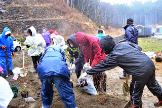 奥には森と小屋が見える森の中で、周囲には苗木が置かれ、土が入った袋を開けようとしている、雨合羽を着た人々が雨に濡れながら協力して植樹作業を行っている様子の写真