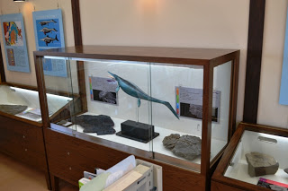 博物館の室内にあるガラスケースの中に青緑色のウタツサウルスの模型が中央に展示されていて、まわりには数枚の化石が並べられており、壁には海棲動物の説明パネルがかかっている展示室の写真
