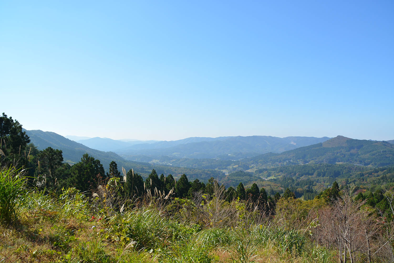 青空の下に連なる山並みと谷が続き、手前にはススキや低木が生い茂っている、高台から見下ろす広大な山々の風景写真