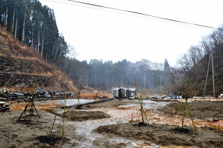 木々に囲まれた霧がかった林の奥に小さな建物が建ち、切り開かれた広場に支柱で支えられた植えたばかりの木々が並びんでいる写真
