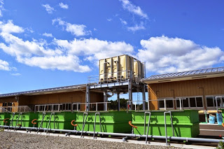 青空の下、緑色の水槽が並ぶ建物の中央に大型の装置が設置されており、1階建ての横に長い建物の養殖カキ共同処理場の写真