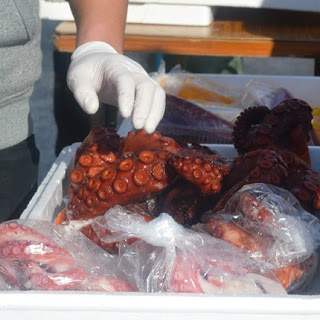 白い手袋をした販売員が保冷箱の中に並べられた大きな茹でダコを扱っている、地元の水産物を直接販売する様子を写した写真