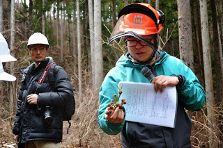 オレンジ色のヘルメットをかぶり、手に植物の枝と資料を持って説明する男性の写真