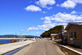 漁港に面した舗装された道路に建物が並び、空と海とが広がる開放感のある港の風景の写真