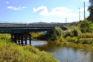 水面が穏やかな小川の上に古い鉄橋が架かり、その周囲には草が生い茂り自然が広がる川辺の風景の写真