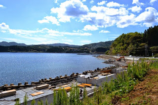 静かな湾の海岸沿いにコンクリートの護岸工事が進んでおり、奥に緑の山と集落が広がる復興中の海辺の風景の写真