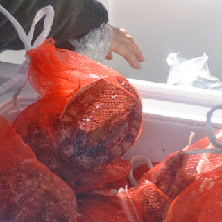 赤いネットに入ったホタテのような貝類が発泡スチロールの容器にたくさん入っている様子の写真