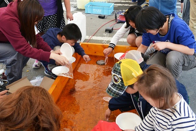 複数の子どもたちや親子連れが木枠の水槽を囲み、白い皿を使ってしらうおをすくおうとしている様子の写真