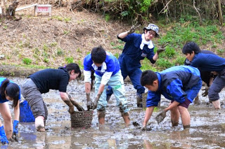 複数の若者たちが泥だらけになりながら、田んぼの中でカゴに入っている苗を植えている、笑顔やポーズを見せる人もいる田植え作業の写真