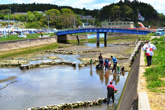 青い橋の下を流れる浅い川の中で、大人や子どもが長靴を履いて水に入り、石で囲った場所で魚を採っている写真