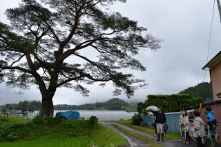 大きな一本松の木のそばを数人のグループが傘を差して歩いており、奥には霧に包まれた田園風景が広がっている写真