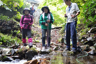 周囲は濃い緑に囲まれた小川の浅瀬を、トレッキングポールを使って渡ろうとしている3人の参加者の写真