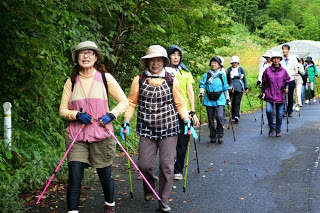 緑の山道を10人以上の参加者たちが、カラフルな服装とトレッキングポールを使って元気に歩いている様子が写っている写真