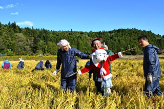 森林が広がっている青空の下、田んぼの中でサンタクロースの服を着た案山子に触れて笑っている3人の男性の写真