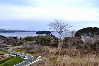 草地と木々の向こうに湾と島が広がる自然景観の中、曲がりくねった道路が走る写真