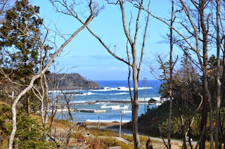 冬の木々の間から、波の立つ入り江と小さな漁港の防波堤が見える風景写真