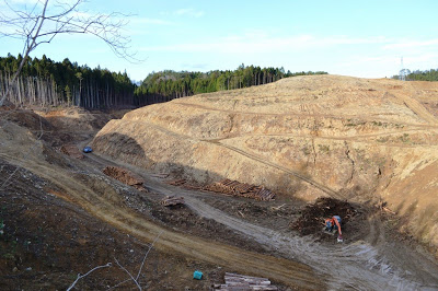 森林が伐採され、山が大きく削られた谷間の造成地の奥で、重機が作業をしている広範囲な工事現場の写真
