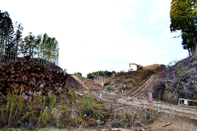 伐採された丸太が積まれた山林の間を、奥で重機が土地をならしている造成現場の写真