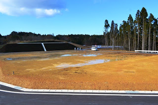 背景に植林された杉の木が並び、水たまりが点在している広い造成地の平地部分の写真