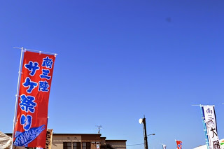 雲一つない快晴の青空の下、赤と青の「南三陸サケ祭り」と書かれたのぼり旗が風になびいている写真