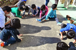 複数の子どもたちがコンクリートの地面にしゃがみ込み、椿の種をこすっている屋外活動の様子の写真