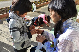 屋外で子どもたちが地面に向かって硬い椿の種の殻をこすって穴をあけている前で、女性が灰色のパーカーを着た子どもに種のようなものを手渡している様子の写真