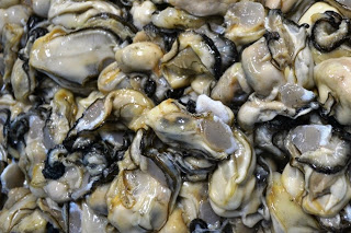 むき身になったカキがたくさん重なり、つやつやとした質感で盛り上がって見える、新鮮な生ガキをアップで撮影した写真