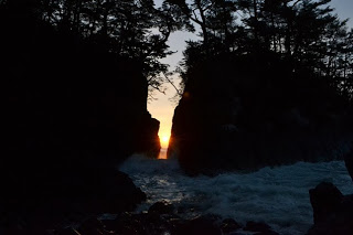 朝日が岩の隙間から差し込み、波が岩に打ち寄せる海辺の風景と、岩の上に立つ木々のシルエットが美しく浮かび上がる神秘的な海岸の写真