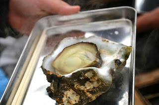 トレイにはいった大きな牡蠣をアップで写した写真