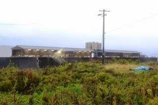 雨が降る中、草むらの奥にある横長の木造の水産加工場の建物がライトで照らされている写真