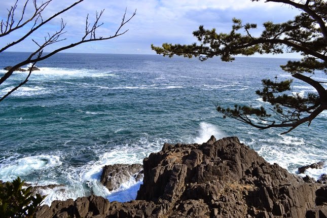 神割崎の崖の上から見下ろした風景で、黒々とした岩場に青い海の波が打ち寄せ、周囲に松の枝がかかっている様子を写した写真
