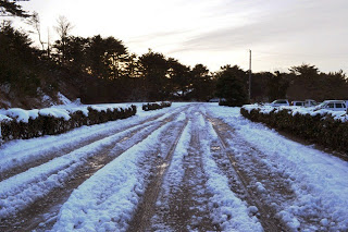 雪に覆われた道路にタイヤの跡が残り、両脇の茂みと背景の木々が冬の静けさを演出し、右側には数台の車が停まっている曇り空の冬道の写真