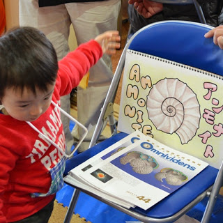 小さな男の子が椅子に置かれたアンモナイトのイラストや資料を見つめている様子の写真