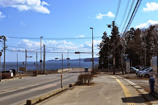 ゆるやかな下り坂の道路の先に穏やかな海が広がり、右手には木々が立ち並ぶ志津川地区大森の様子を写した写真