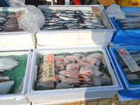 白い発泡スチロール箱や青いコンテナに、氷と一緒にいろいろな種類の新鮮な魚が入れられ、整然と陳列されている写真