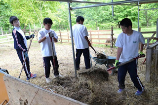 4人の男子生徒たちが動物小屋の中でスコップや一輪車を使って敷きわらを掃除・整備している様子が写っている写真