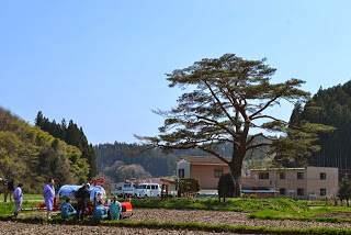 建物や山林が広がっている大きな一本松の前の畑で、作業服を着た数人の人々が農業機械の周りに集まり農作業の準備をしている写真