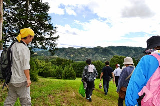 前方に美しい山々が広がっている草原の坂道を、数人の男女がリュックや帽子を身につけて下っている後ろ姿の写真