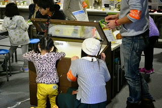 ヒョウ柄のシャツを着て黄色いズボンを履いた女の子が展示物をのぞき込み、その隣に白い帽子をかぶった大人がしゃがんで同じ展示物を見ている屋内の展示スペースの写真