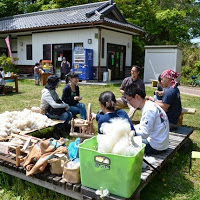 奥に小さな日本家屋が見える芝生のスペースで、四角く並んだ木製のベンチに羊毛が入った似鳥色のプラスチックケースや様々な道具が並び、数名の男女が座って羊毛を使ったクラフト体験をしている様子の写真