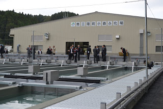 南三陸町小森ふ化場の建物とその前に整備された多数の水槽設備を、スーツ姿の人々が視察している様子を捉えた屋外の写真
