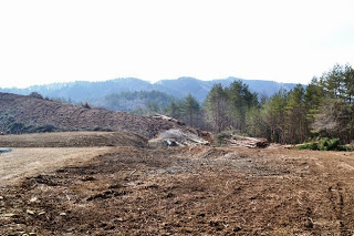 澄んだ青空の下、手前に伐採された土地が広がり、奥には木々が残る山々が見える建設予定地の写真