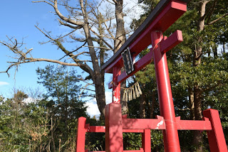 木々を背景に、赤い鳥居が立っている写真