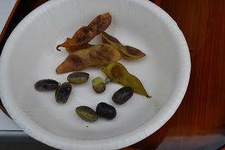 白い紙皿に黒豆の実と殻が置かれた写真