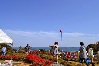 海を背景にした公園で、赤い花をつけたツツジを見ながら遊歩道を散策している人々の写真