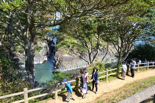 緑の木々越しに切り立った崖が見える海を臨む、木製の柵が設置された遊歩道を複数の人々が歩いている写真