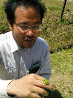 草の上で、作業服を着た男性が緑色のカエルを指に乗せて観察している写真